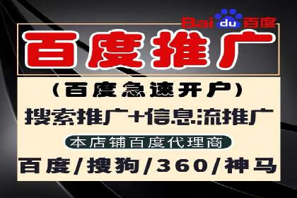 百度SEM竞价推广成功案例：某电商平台的营销奇迹